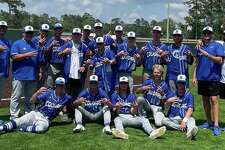 The Buna baseball team poses for a picture after defeating Anderson-Shiro last weekend in the 3A area round. 