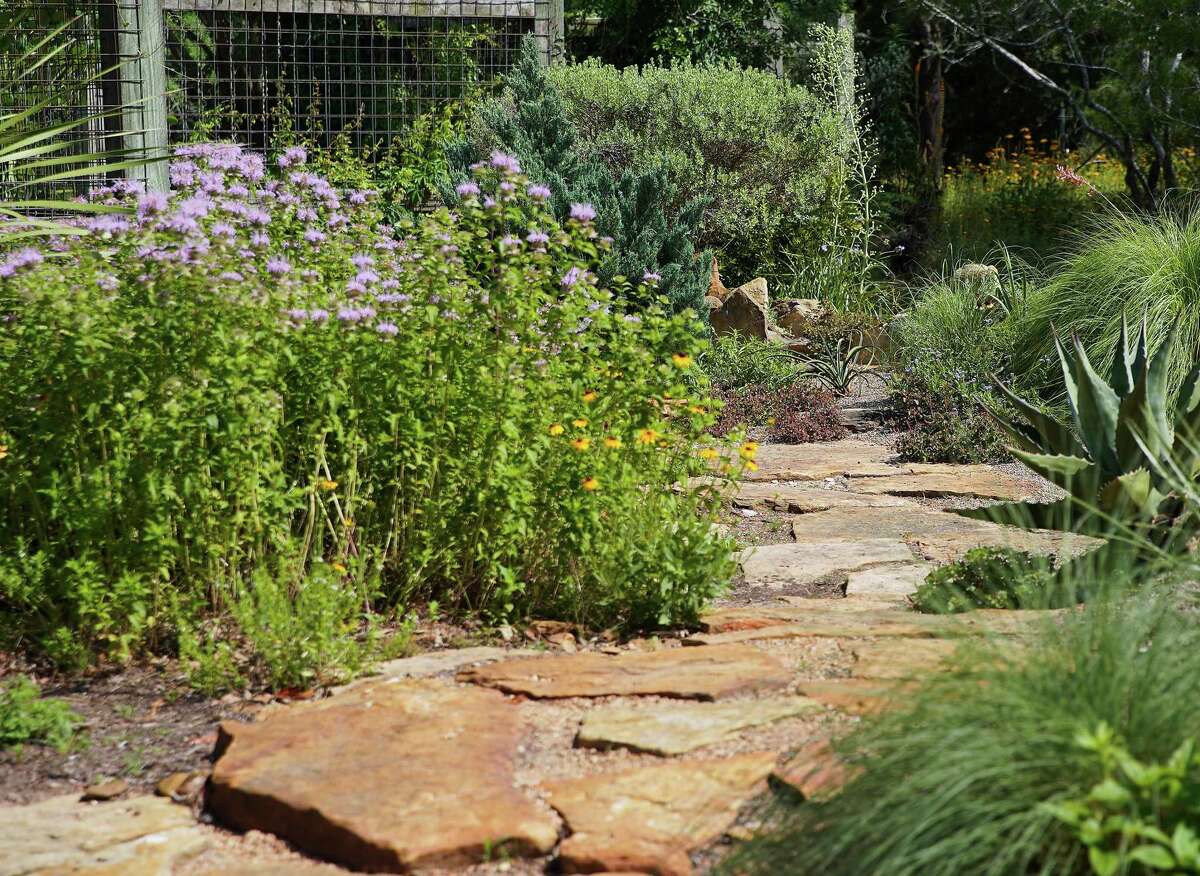 A pathway flanked with native plants at the John Fairey Garden on Tuesday, May 17, 2022 in Hempstead.