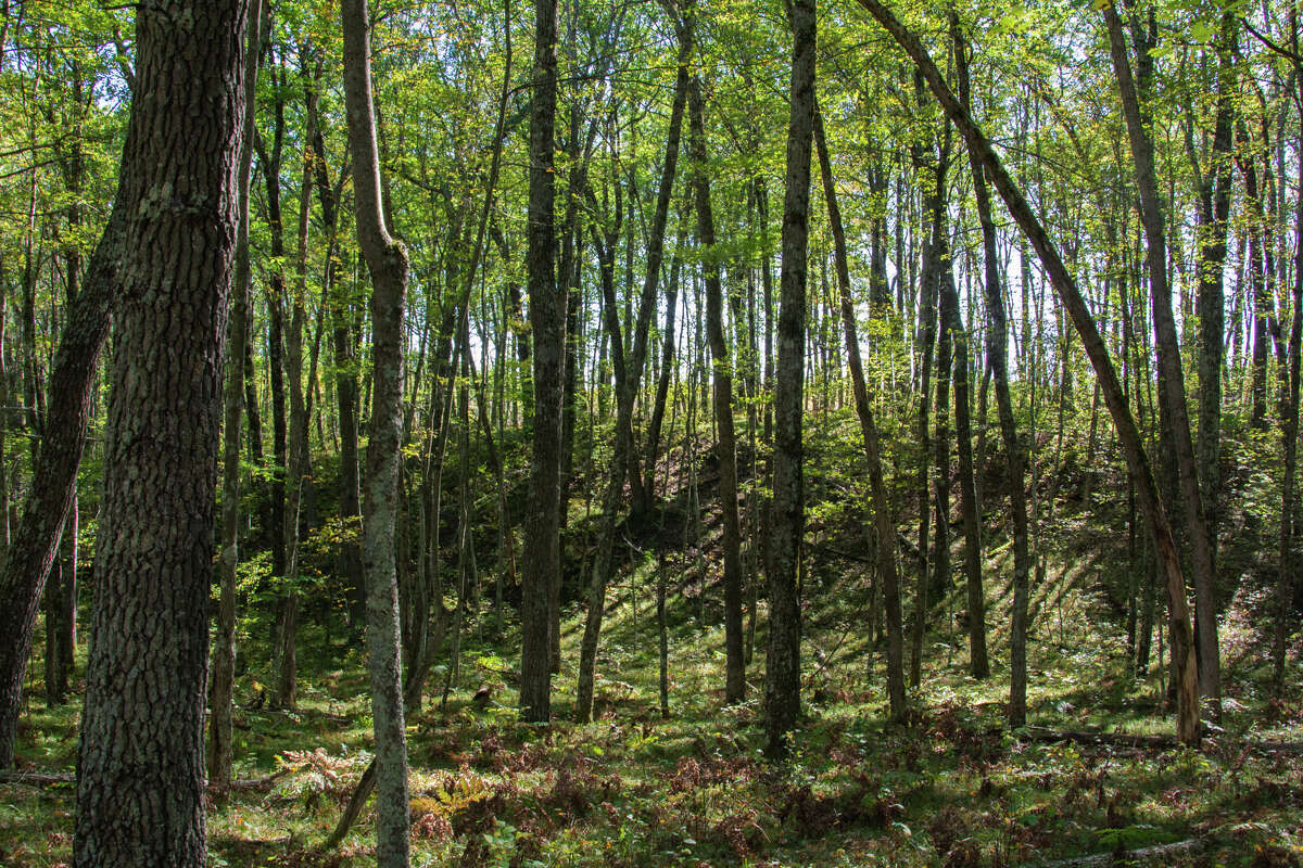 Family donates 155 acres to Newaygo County for public nature preserve