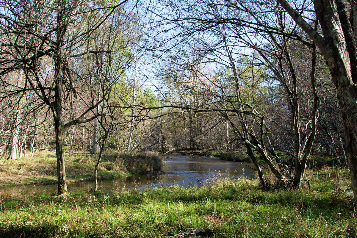 The property is located along the shores of the Little South Branch of the Pere Marquette River