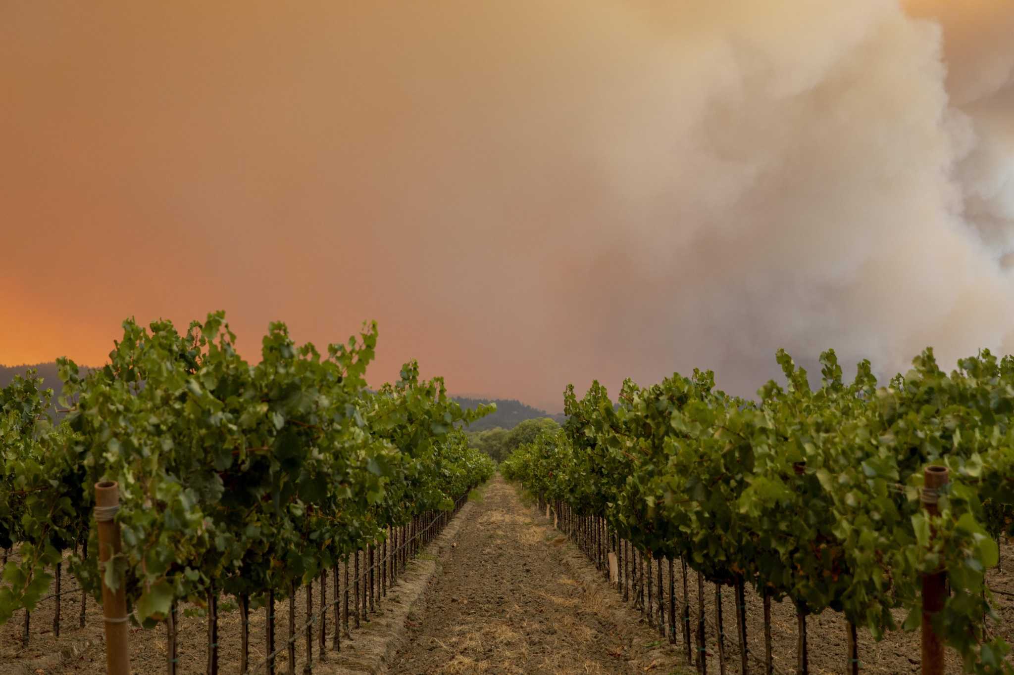 Hundreds of Sonoma farmworkers may have been exposed to toxic smoke ...