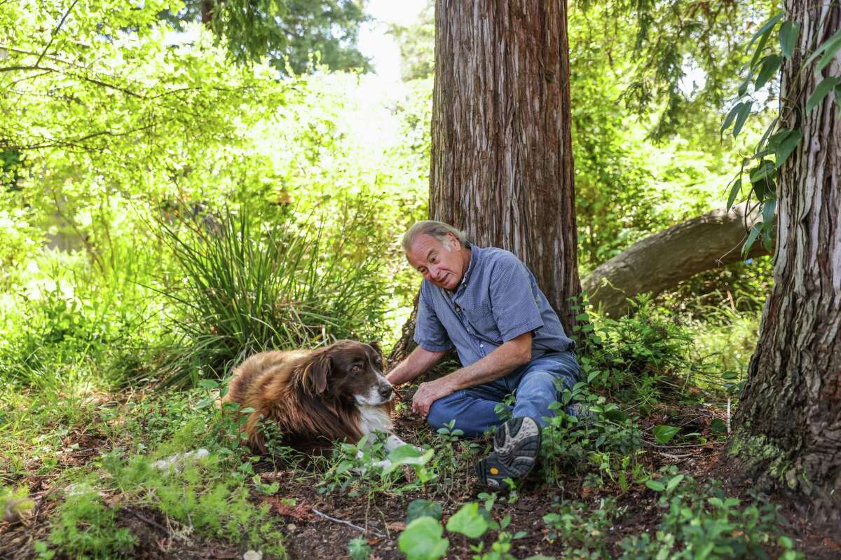 Longtime winemaker Michael Michaud, pictured with his dog, Bear, plants black truffles in an effort to subsidize his wine business.