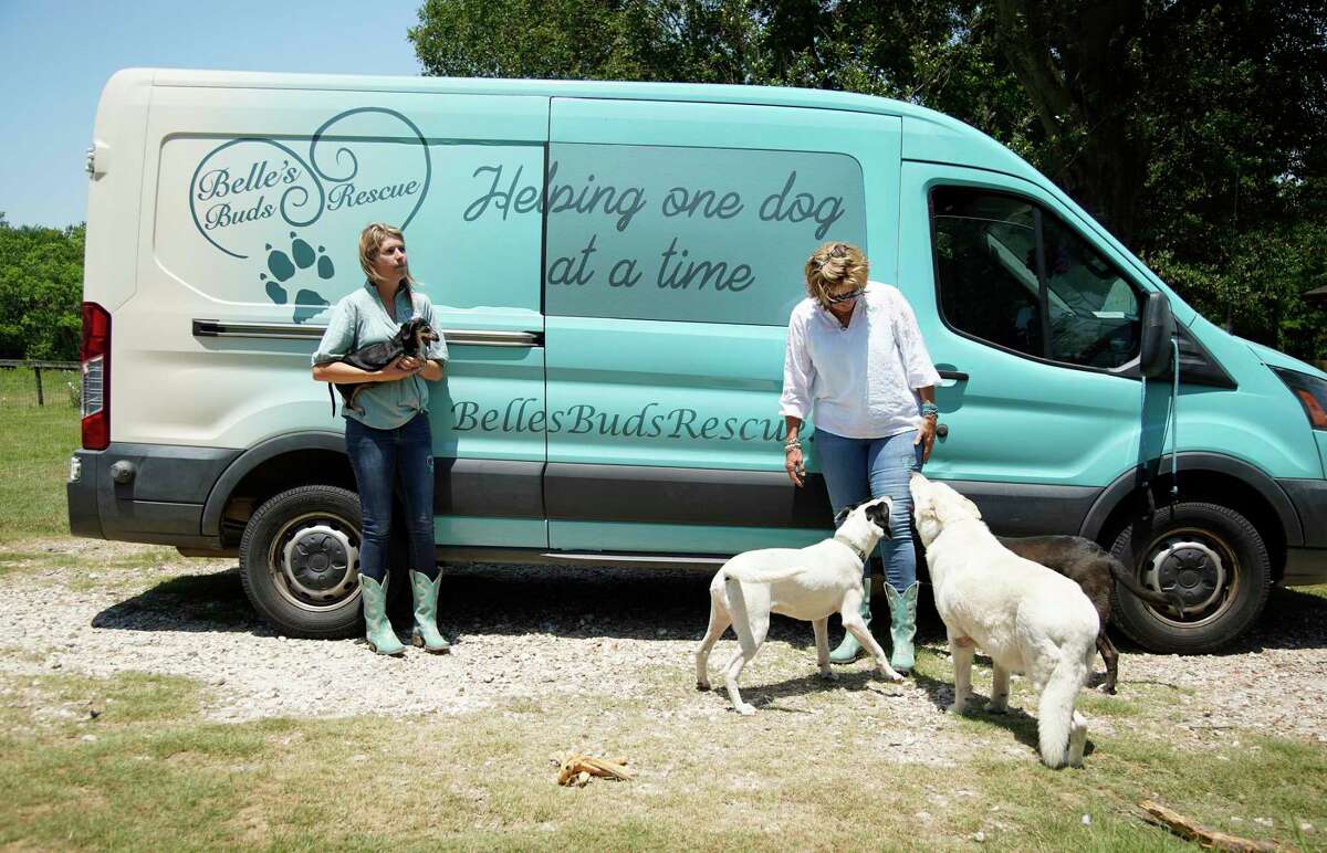 Belle's Buds Rescue co-founders Tammy Livingston and Julia Stanzer-Czaplewski with their rescue dogs next to their new rescue/transport van on their properties on Wednesday, May 18, 2022 in Brookshire. 