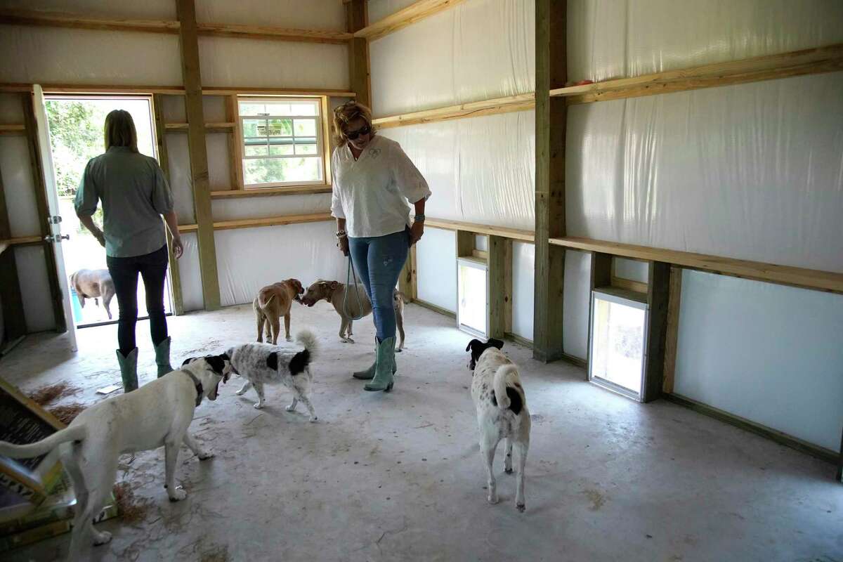 Belle's Buds Rescue co-fouders Tammy Livingston and Julia Stanzer-Czaplewski with their rescue dogs in the new the building they are constructing on the property that once finished, will help house the overflow of dogs they take in on their properties on Wednesday, May 18, 2022 in Brookshire. Houston-area animal rescues are feeling extraordinary pressures from the nationwide shelter crisis, leading to burnout and compassion fatigue some say is the most extreme they've ever endured.