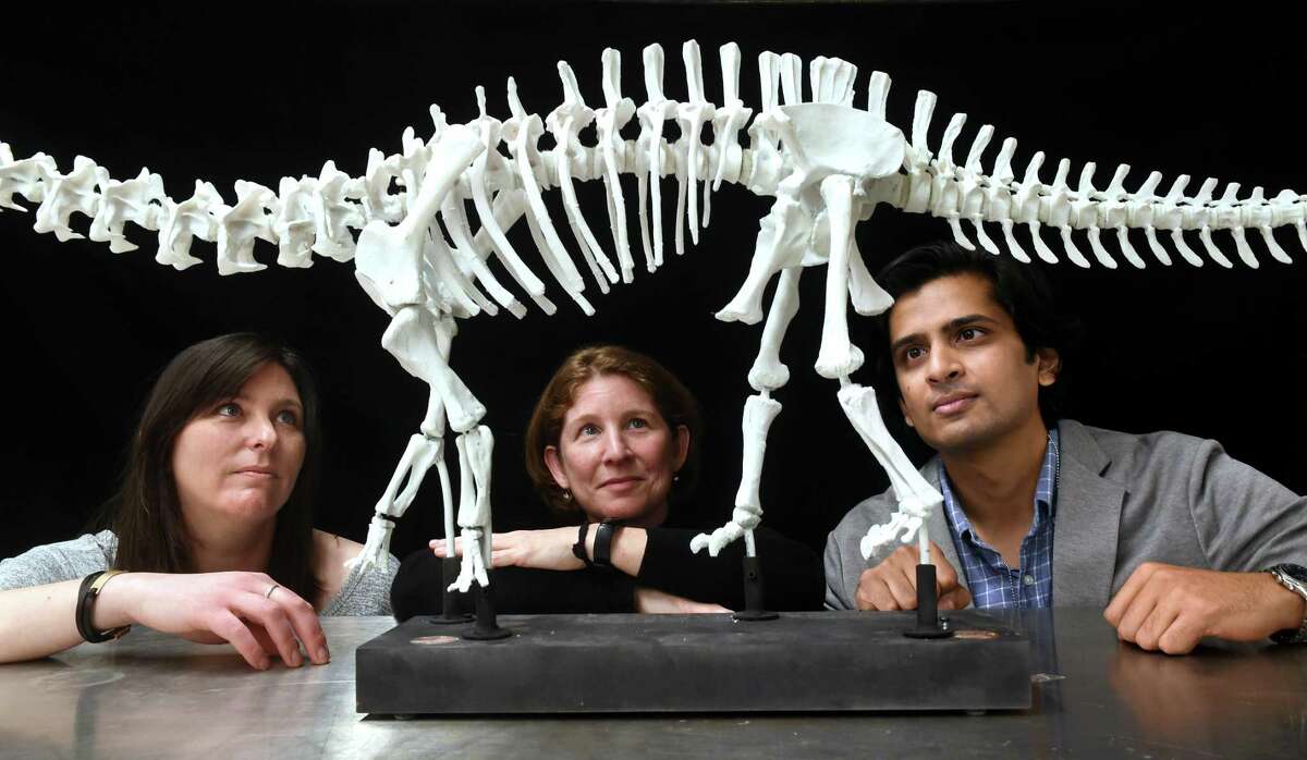 From left, Vanessa Rhue, collections manager in vertebrate paleontology, Susan Butts, senior collections manager in invertebrate paleontology, and Advait Jukar, curatorial affiliate in vertebrate paleontology, are photographed with a one-twelfth scale model of the Brontosaurus previously exhibited in the Great Hall of the Yale Peabody Museum of Natural History in New Haven on May 4, 2022.