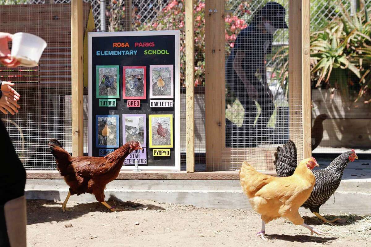 S.F. parents shelled out thousands of dollars to build this elementary