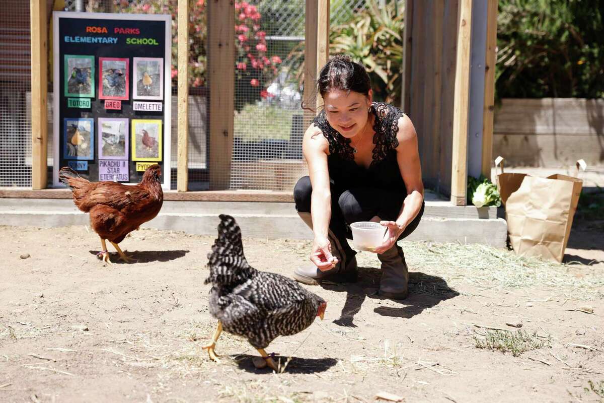 S.F. parents shelled out thousands of dollars to build this elementary ...