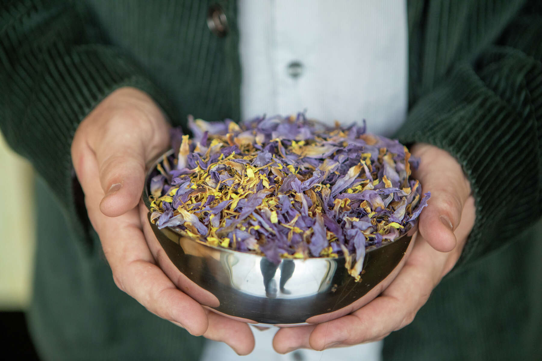 San Francisco Smart Shop Sells Legal Psychedelic Herbs