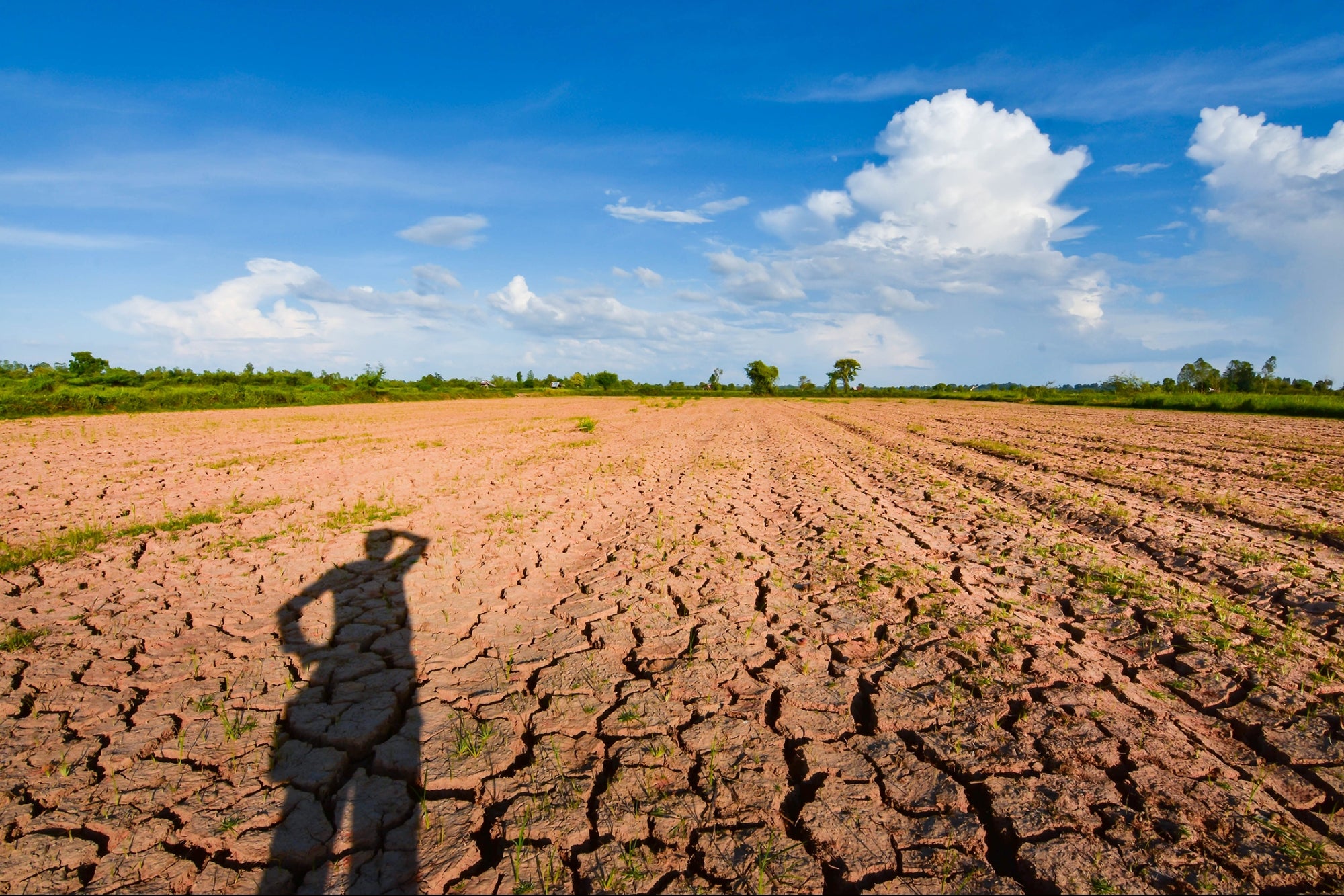 Farmers Don't Have Enough Water. Can AI Help? - Vimarsana News