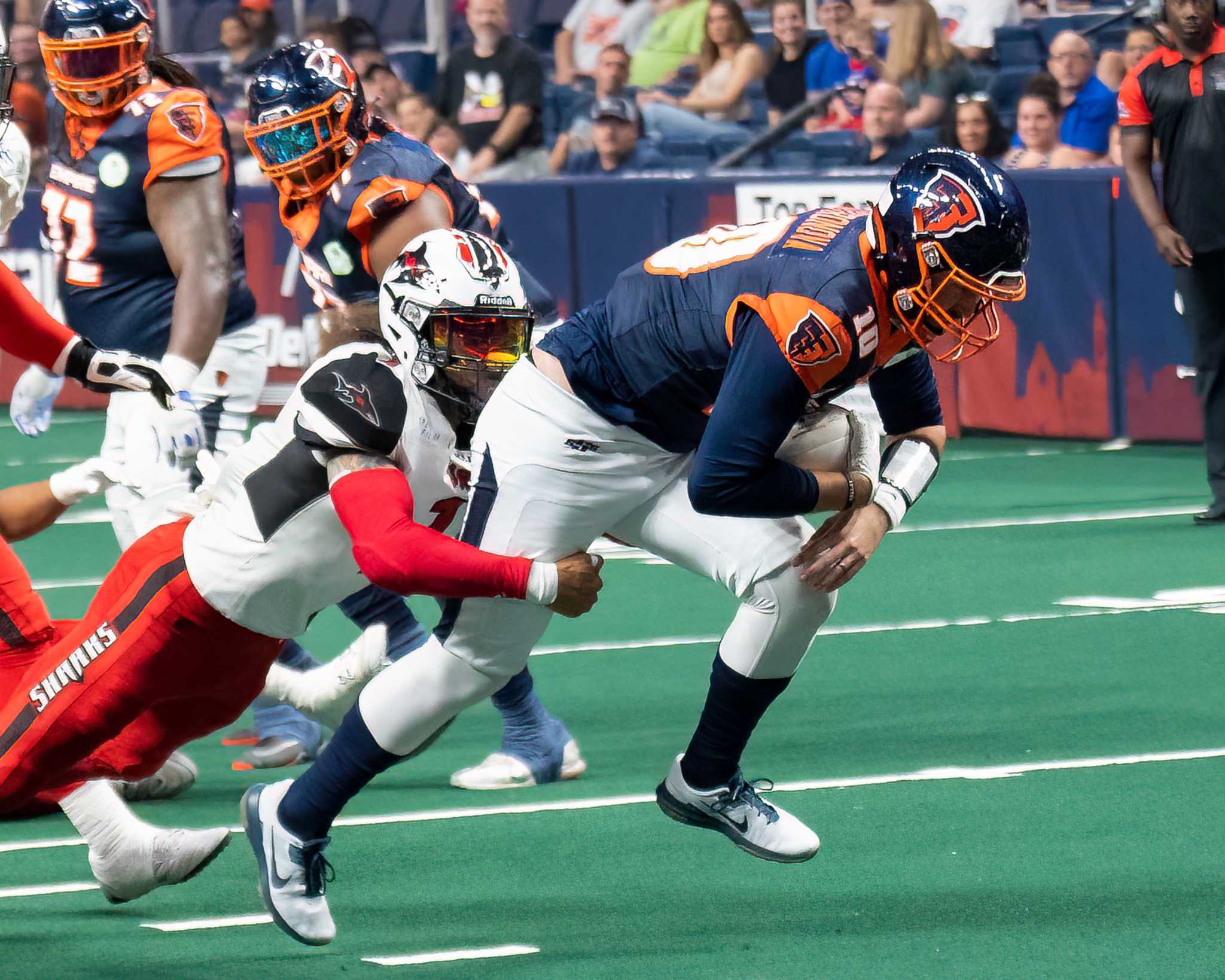 Jacksonville Sharks - PLAYOFF WEEK! Get your tickets! 