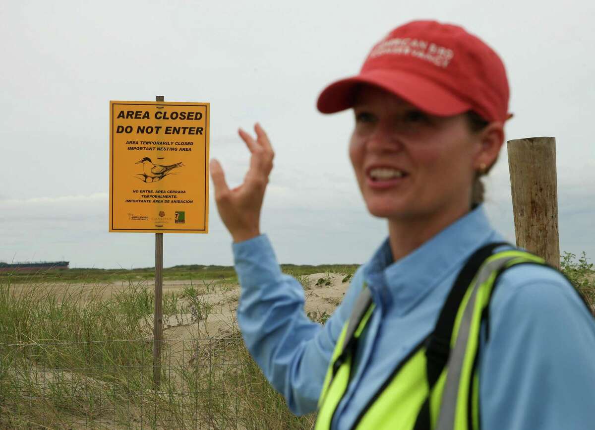 Kristen Vale, Texas Coastal program coordinator with American Bird Conservancy, talks about the fenced off area designated for bird nesting at East Beach on Sunday, May 22, 2022, in Galveston.