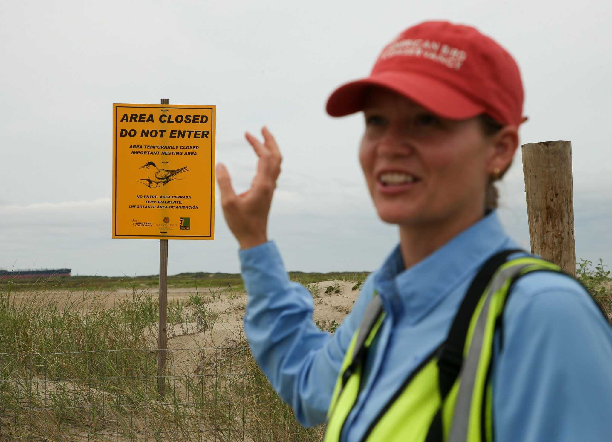 Memorial Day is peak nesting season for Galveston birds