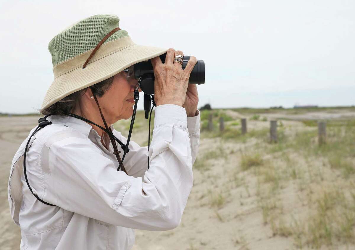 Galveston Bay Area master naturalist Stennie Meadours tries to locate a least tern nest at East Beach on Sunday, May 22, 2022, in Galveston.