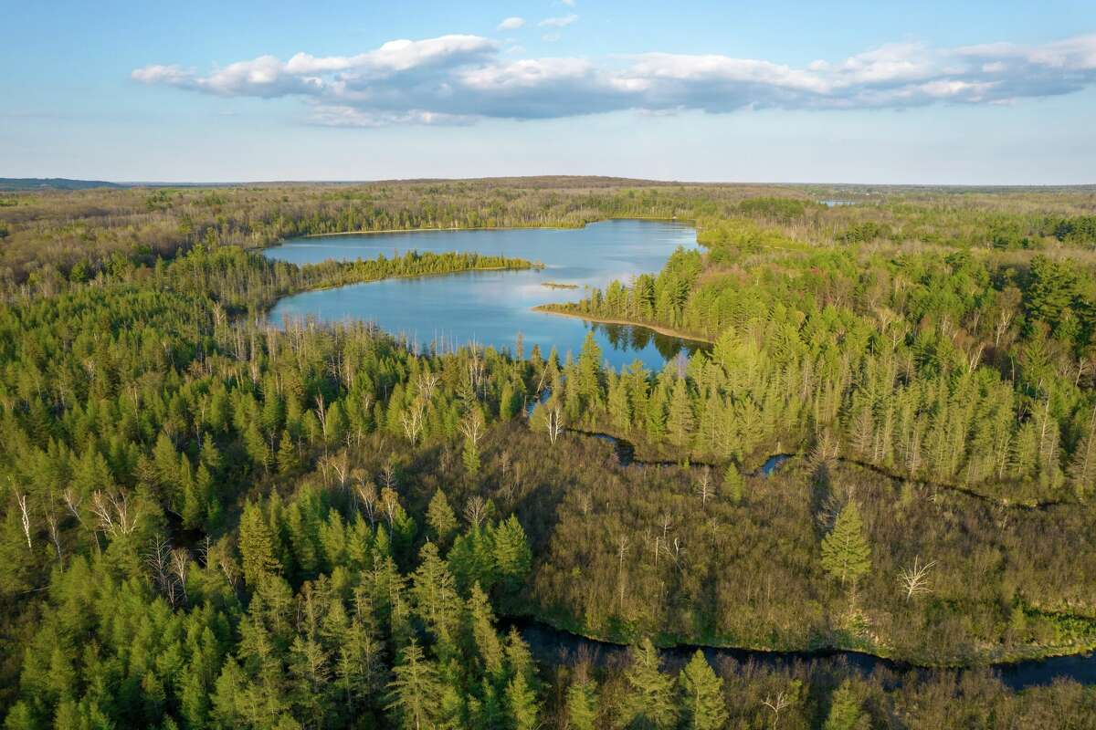 Rifle River Recreation Area. Photo by Tyler Leipprandt
