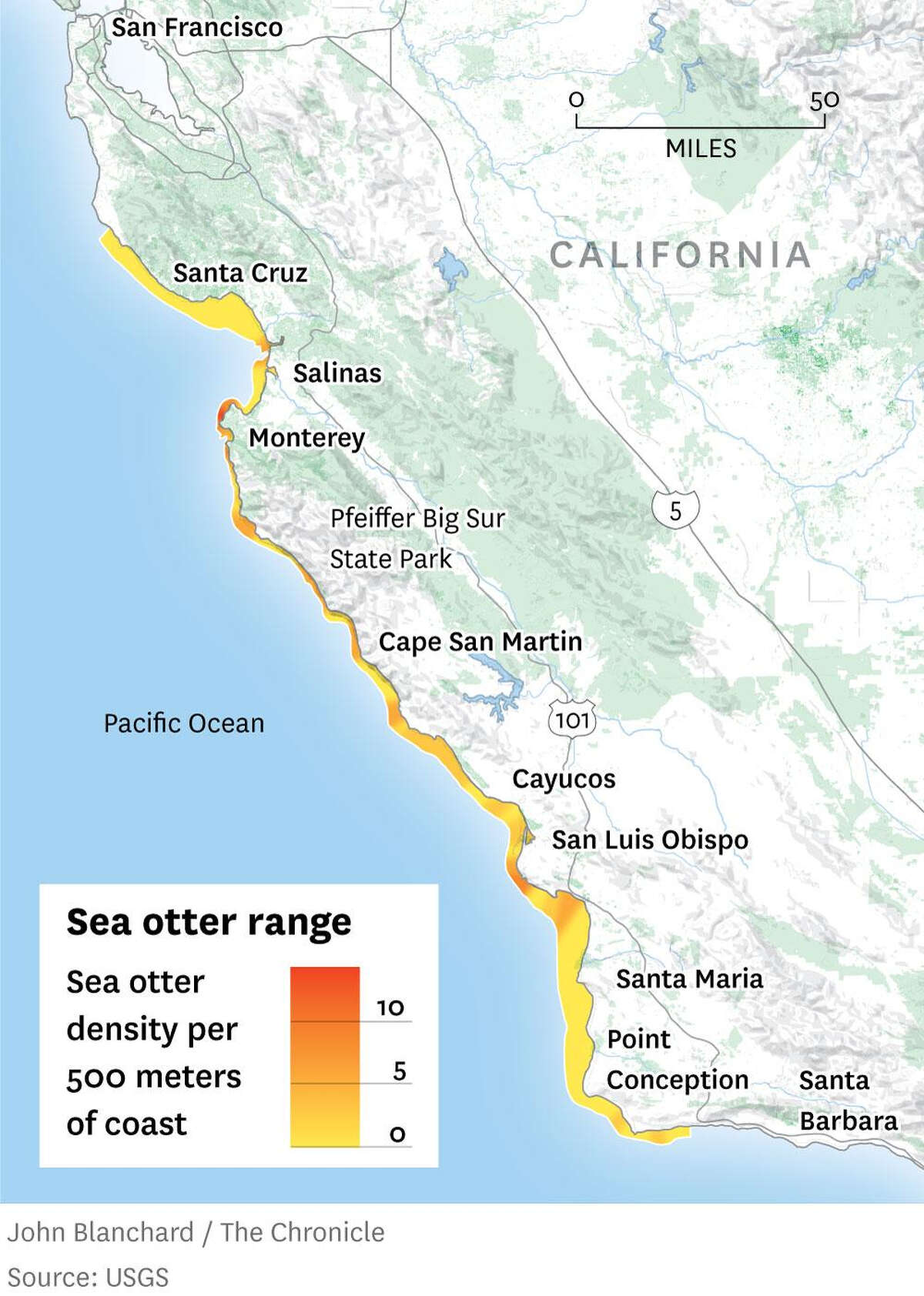 Sea otters were once hunted to near extinction. Now scientists might