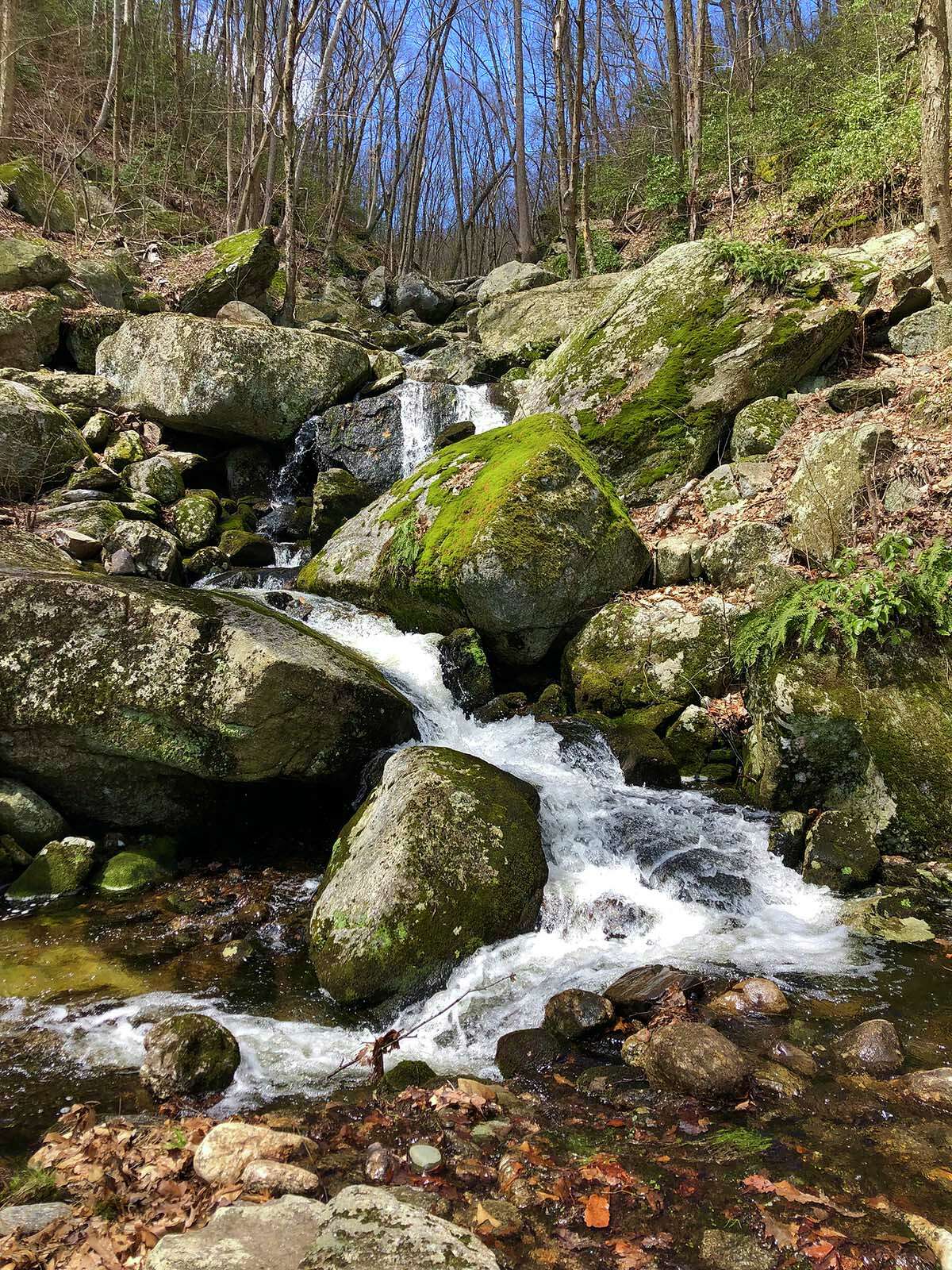 A side trail takes visitors along the side of Cussgutter Brook Cascades.