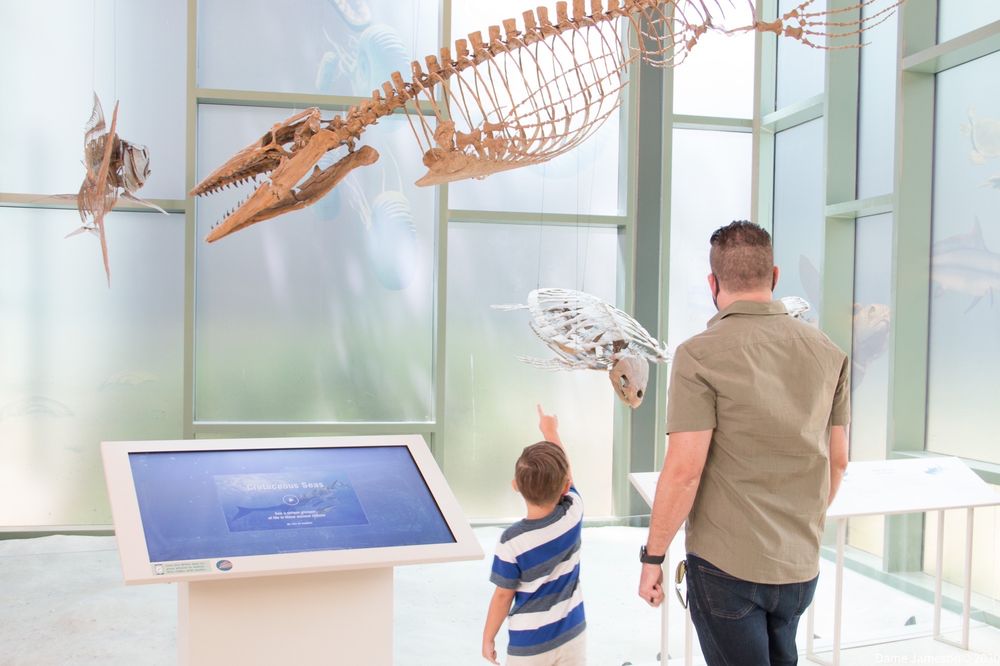 27 stellar indoor activities in san antonio to do right now