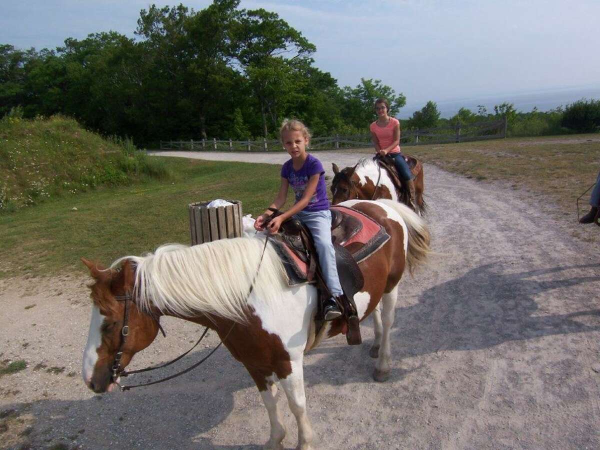 A great way to see the many back trails on Mackinac Island is by renting a saddle horse. 