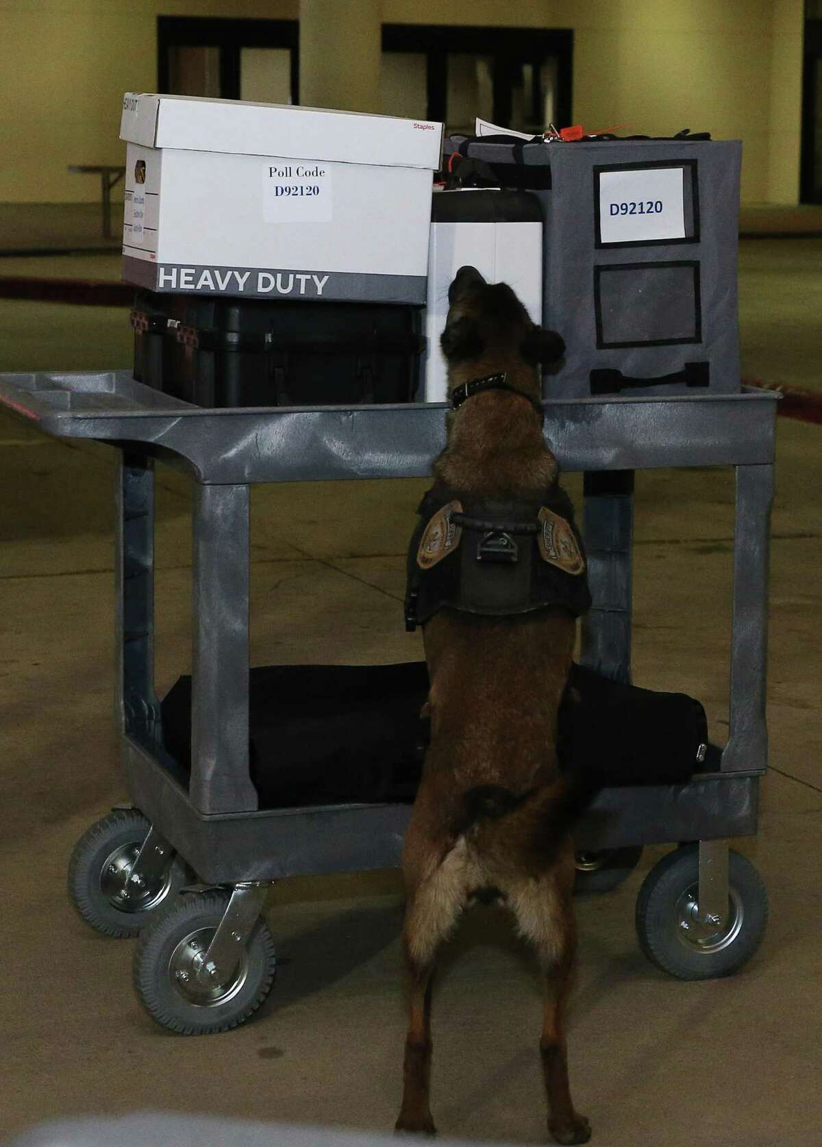 A Harris County Sheriff’s Office K-9 officer inspects returned voting equipment as it is being transported from the drop-off site to Central Count Tuesday, May 24, 2022, at NRG Arena in Houston.