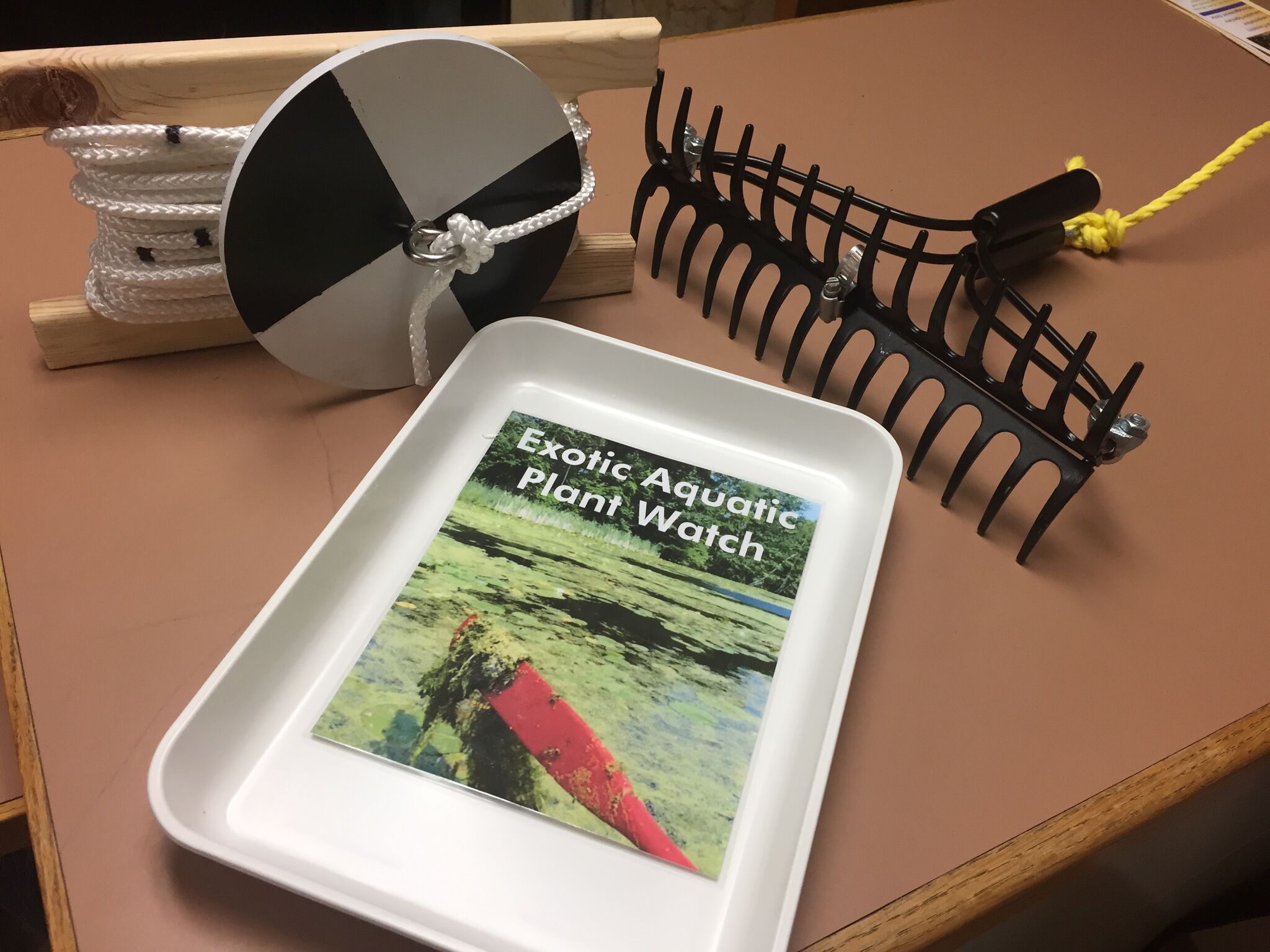 Mecosta Conservation District hosting Exotic Aquatic Plant Watch, invasive species Q&A - Vimarsana News