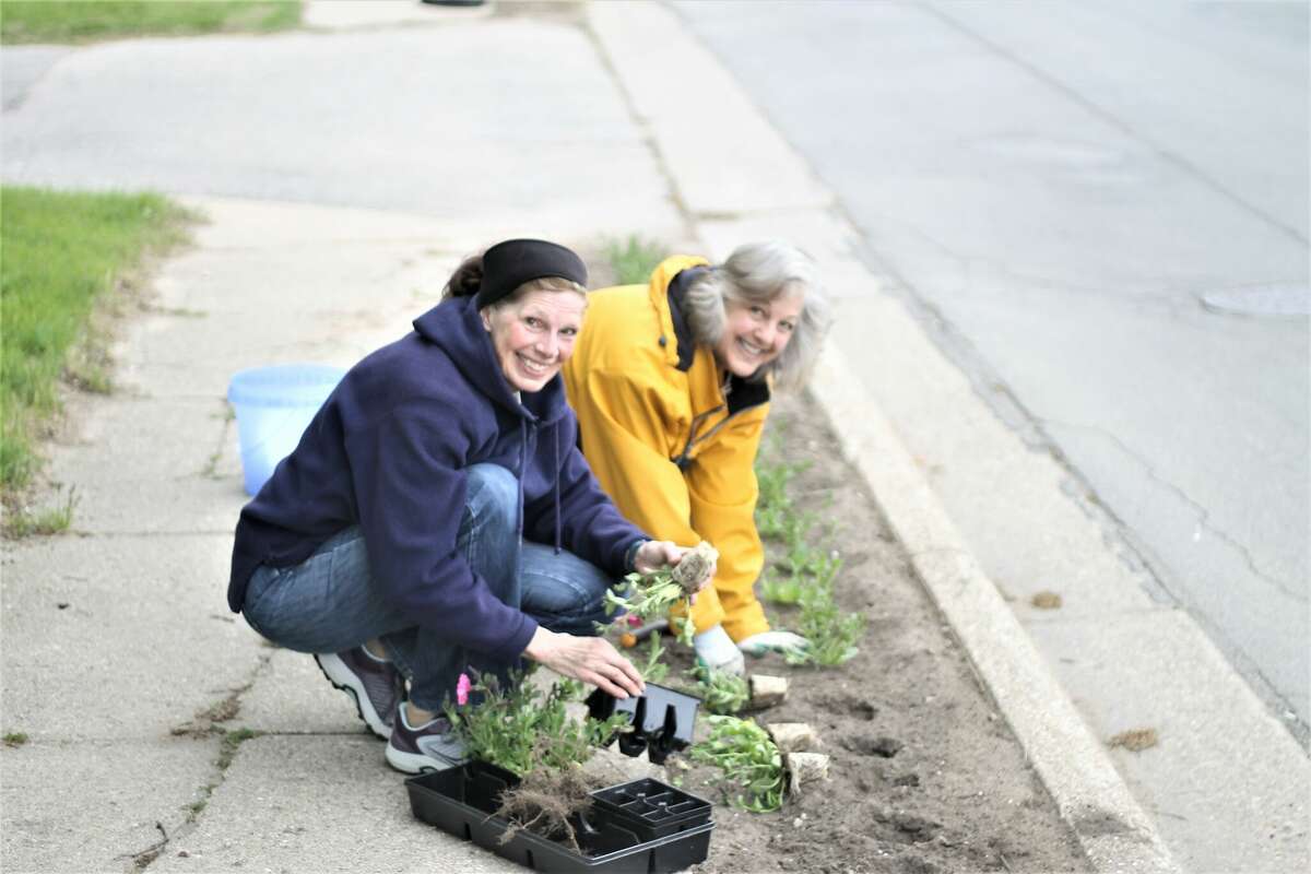 Jane Walters (left) and Nan Kamaloski plant flowers along Main Street in Onekama on Wednesday.