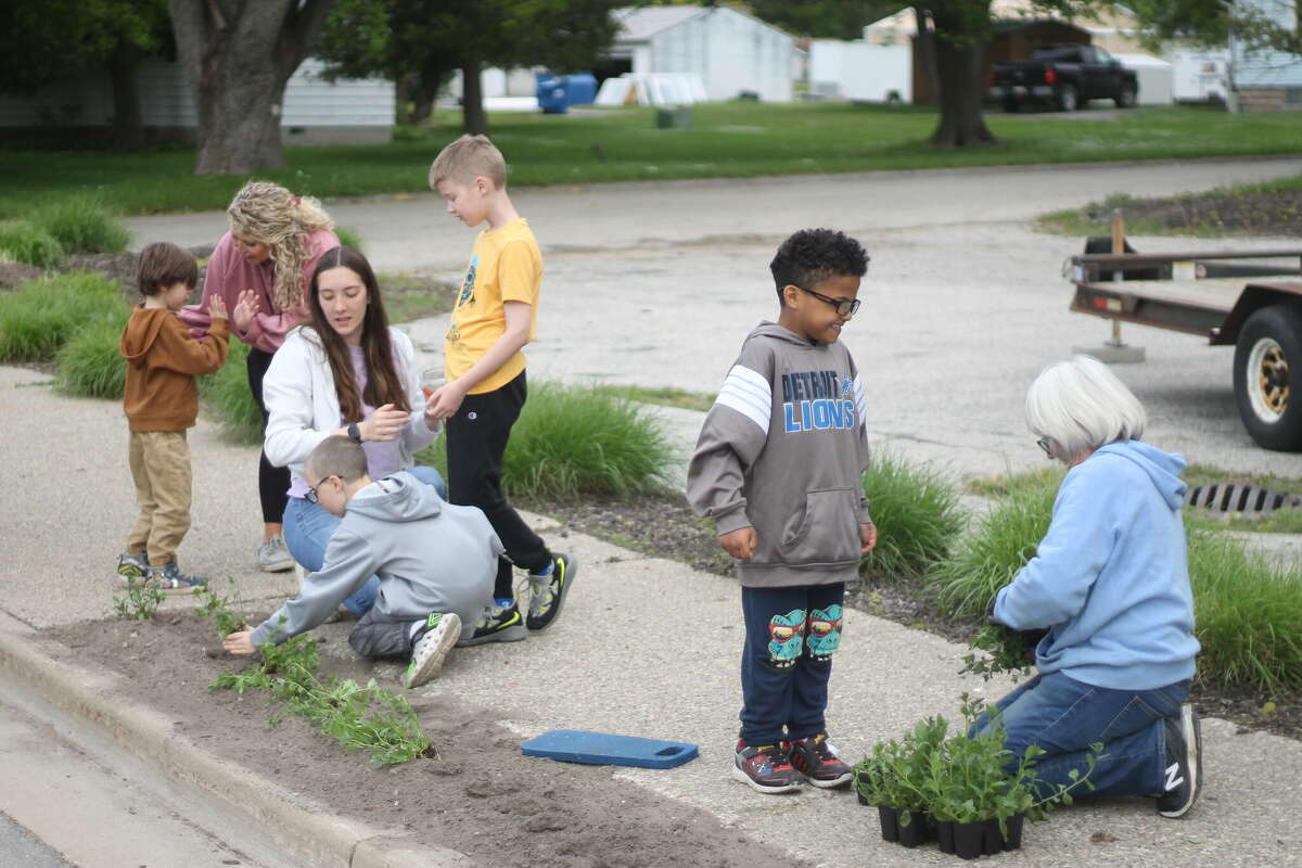 Students from Onekama Consolidated Schools help plant flowers along Main Street in Onekama Wednesday for the Petunia Parade.