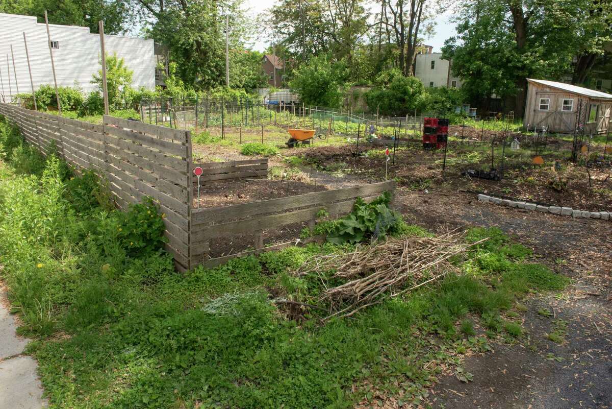 Albany Victory Gardens, which are formerly vacant lots purchased through the county land bank and redeveloped on Wednesday, May 25, 2022 in Albany, N.Y.