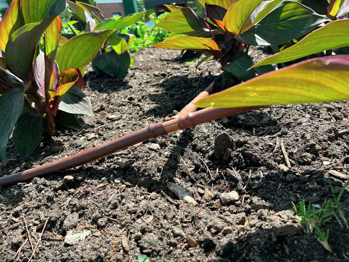 A drip-irrigation system installed around plantings.