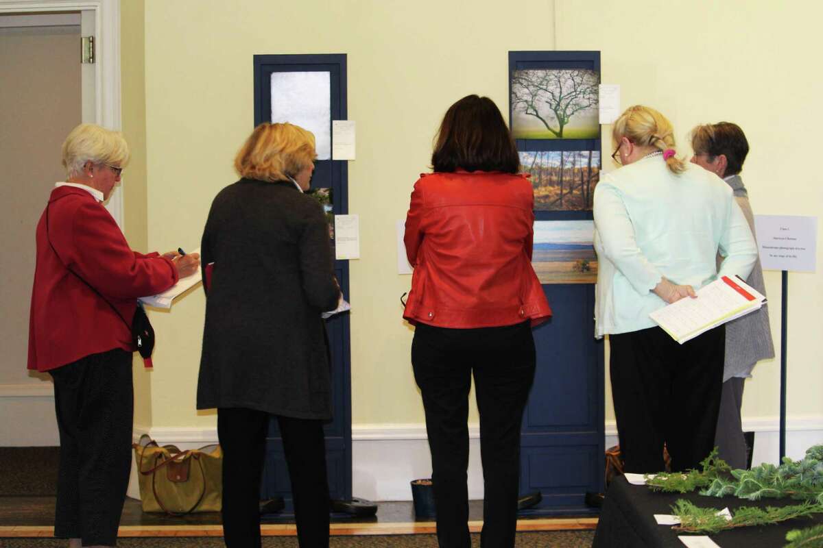 The Middletown Garden Club annual flower show, open to the public Thursday at the Wadsworth Mansion on Wadsworth Street, focuses on the theme, “The Enduring Inspiration of Trees.” Here, judges examine the displays.