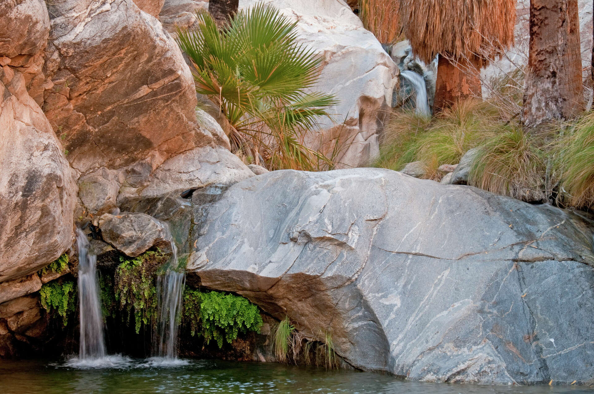 Murray Canyon Trail—a desert hike with a secret swimming hole, image size:1920x1275