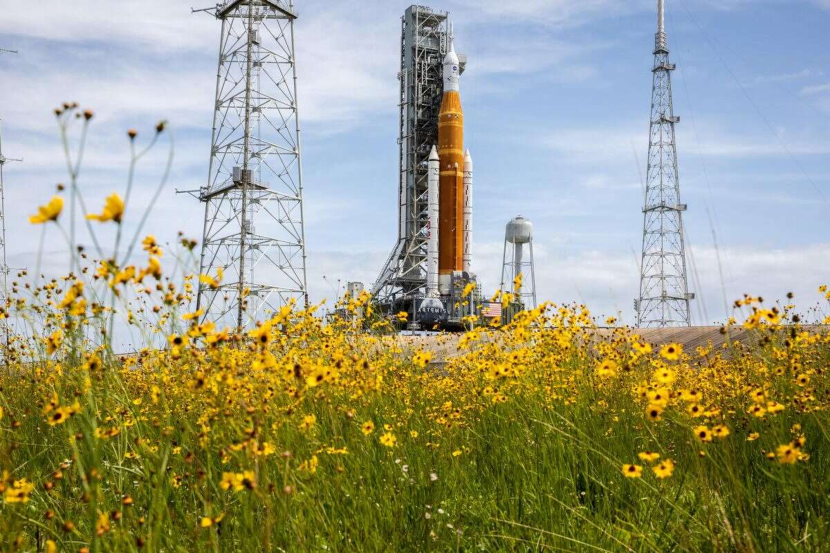 Wildflowers frame a view of the Artemis I Space Launch System rocket and Orion spacecraft on Launch Pad 39B at NASA’s Kennedy Space Center in Florida.