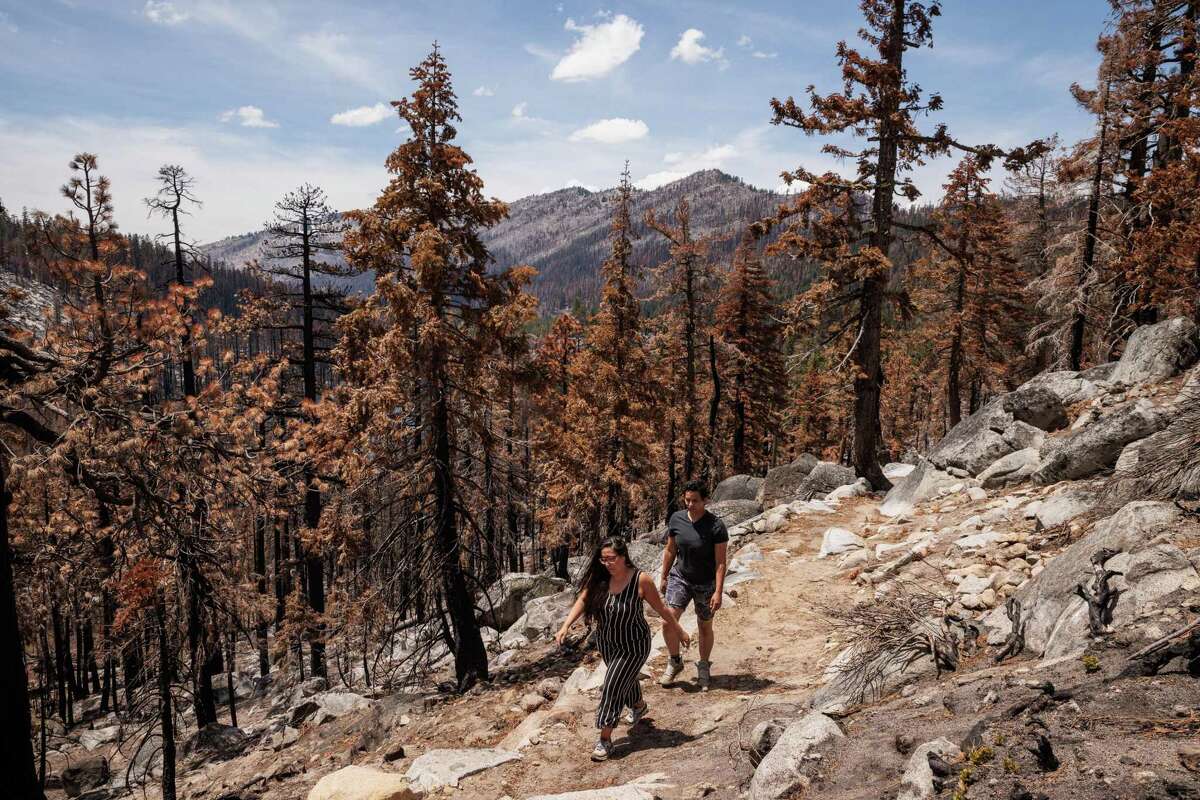 Two hikers take the Pacific Crest Trail in May in an area burned by last year’s Caldor Fire near Echo Summit in California. Parts of the popular trail are now off-limits in Northern California and Oregon because of fire.