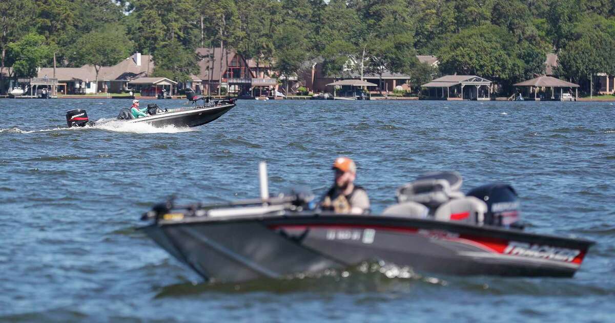 Lake Conroe is home to alligators, snakes and monster-sized fish