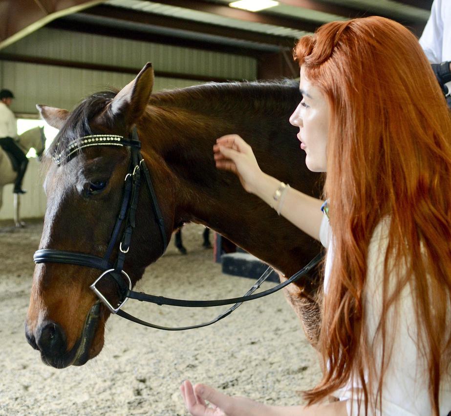 'Carmen' featuring dancing horses preview in Clinton, June 4 - Vimarsana News