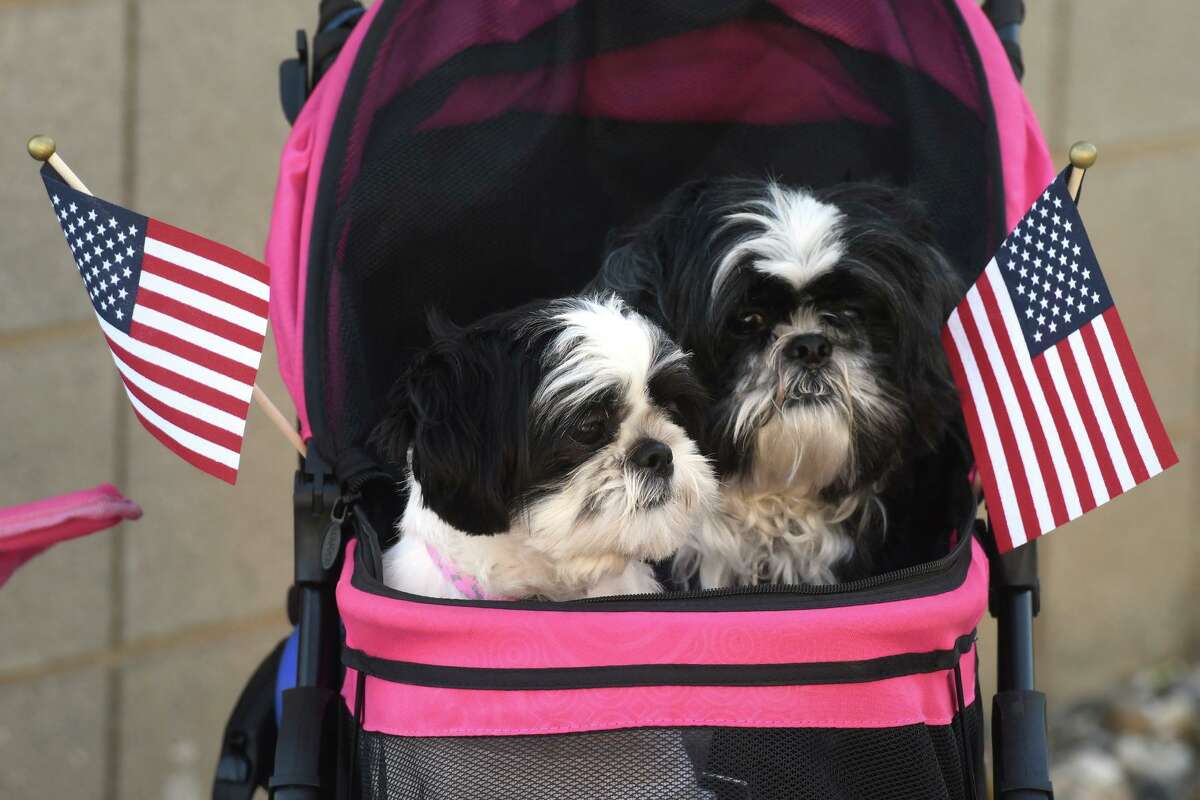 Photos DerbyShelton Memorial Day parade returns