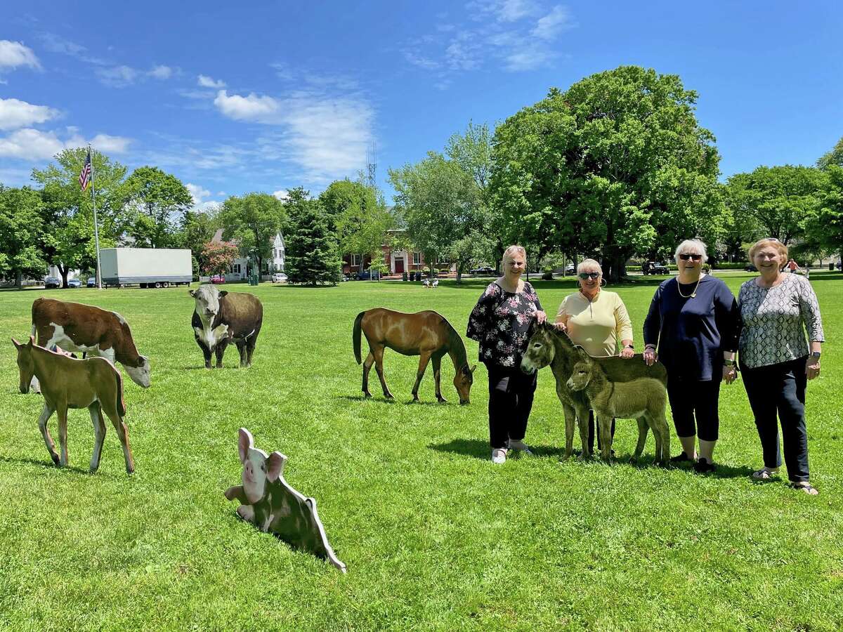 Enjoying the farm animal installation on the Guilford Green are from left, Kathy Baldwin, Janis Litchfield, Diani Quidgley and Appie Thompson. Saturday, May 28, 2022.