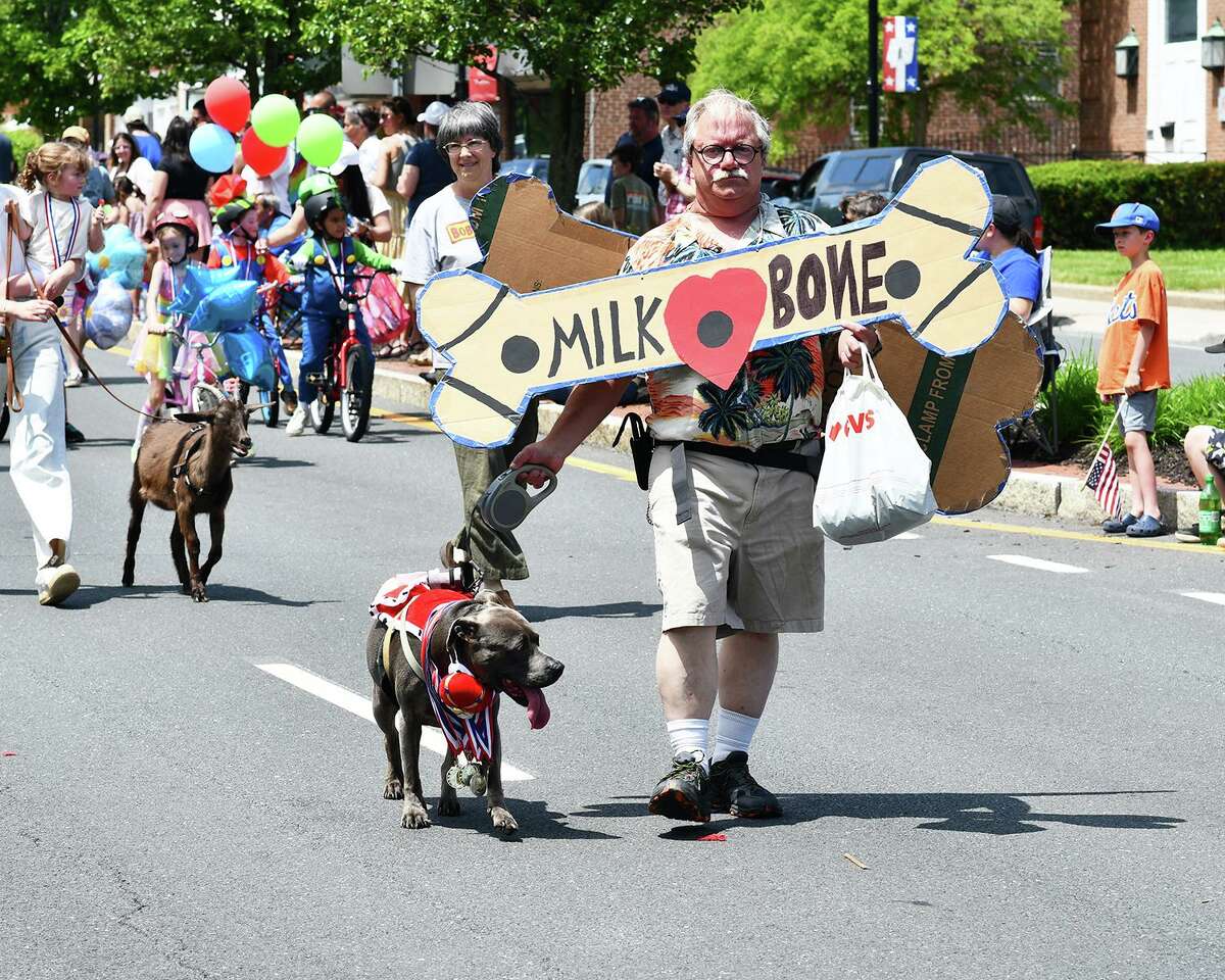 Winsted celebrated Memorial Day with a combined parade that included Laurel King and Queen contestants and participants in the Rotary Pet Parade, which was canceled May 21 due to the heat.  An animal parade participant dressed as a giant Milk Bone dog biscuit leads his dog down Main Street.