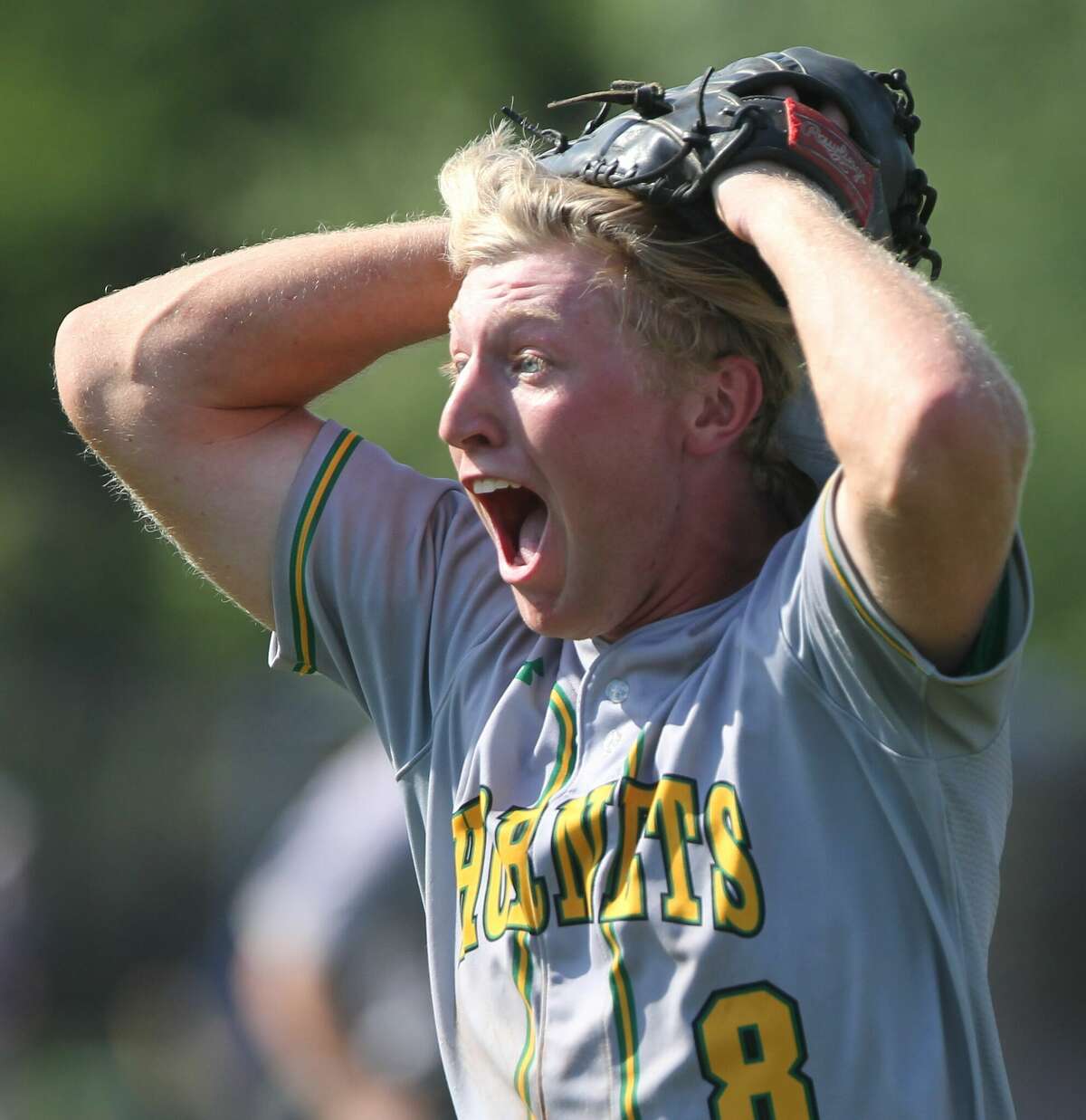 Brown County pitcher Colby Wort reacts after the final out in the Hornets' 4-3 win over Carrollton in the Springfield Lincoln Land Community College Super-Sectional on Monday.