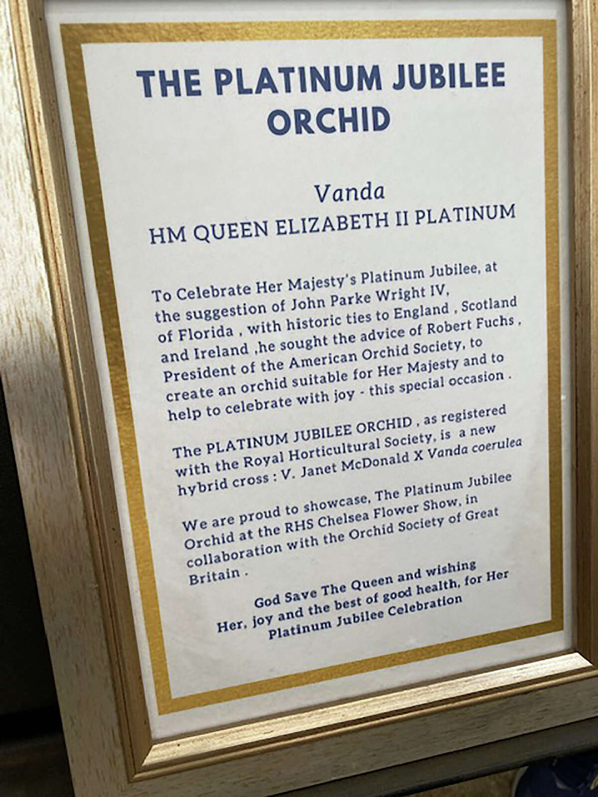 A sign at the Royal Horticultural Society's 2022 Chelsea Flower Show in London gives the details of the Platinum Jubilee Orchid.