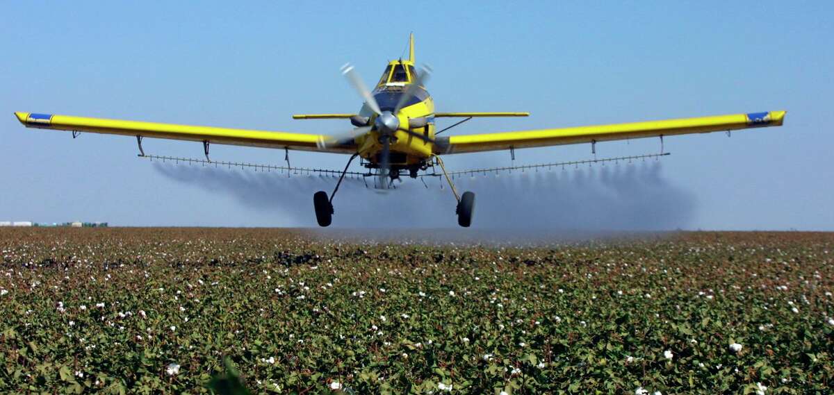 In this Sept. 25, 2001 file photo, a crop dusting plane dusts cotton crops in Lemoore, Calif. The Environmental Protection Agency said in a recent court filing it wants to take another look at the risks posed by the herbicide paraquat before renewing its long-term approval.