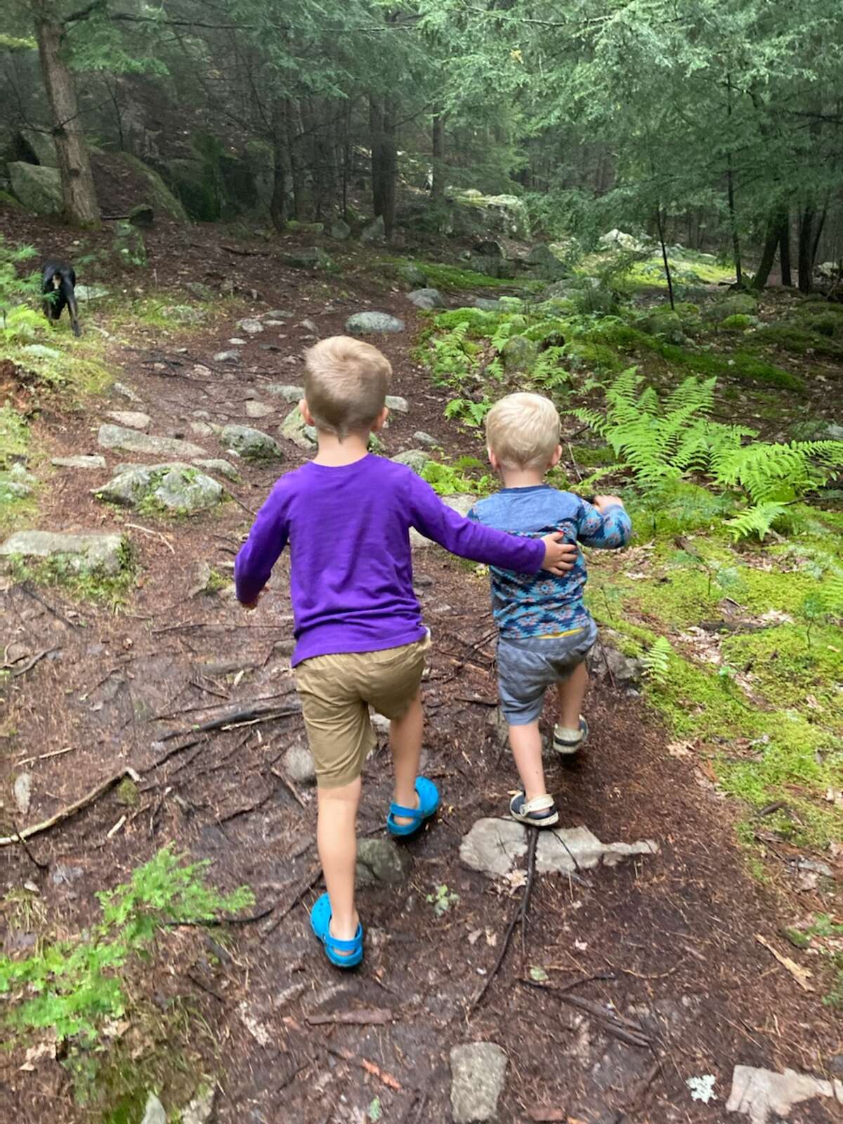 Brothers Rowan, left, and Keegan Grady on a trail near their family's cabin in Brant Lake.