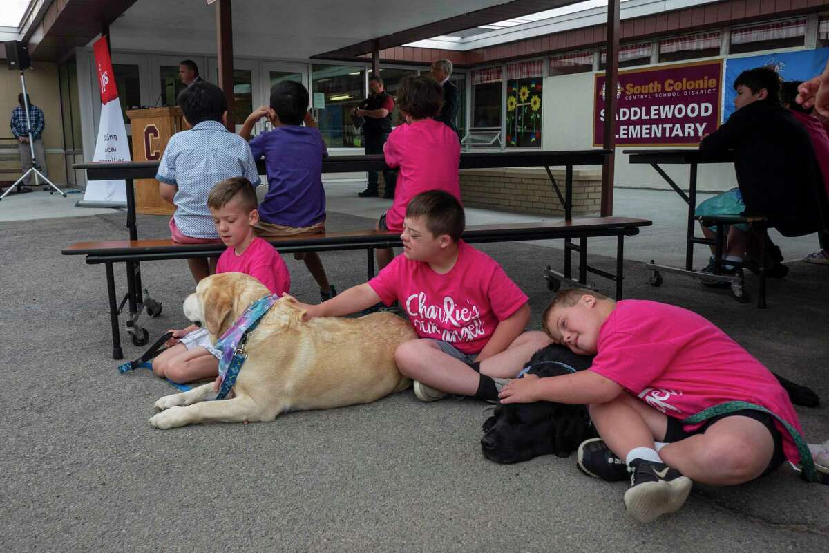 Playground for visionimpaired children in Colonie will honor first
