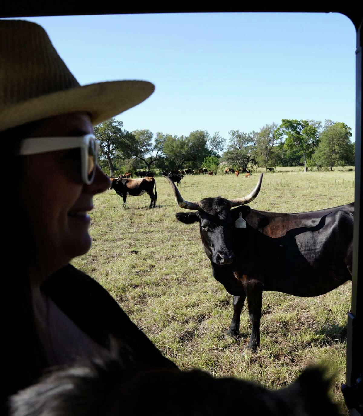 Maggie Eubank looks over a cattle pasture during a ranch tour to highlight regenerative agriculture methods as part of an ongoing process to prevent overuse of the fields and to maximize water conservation.