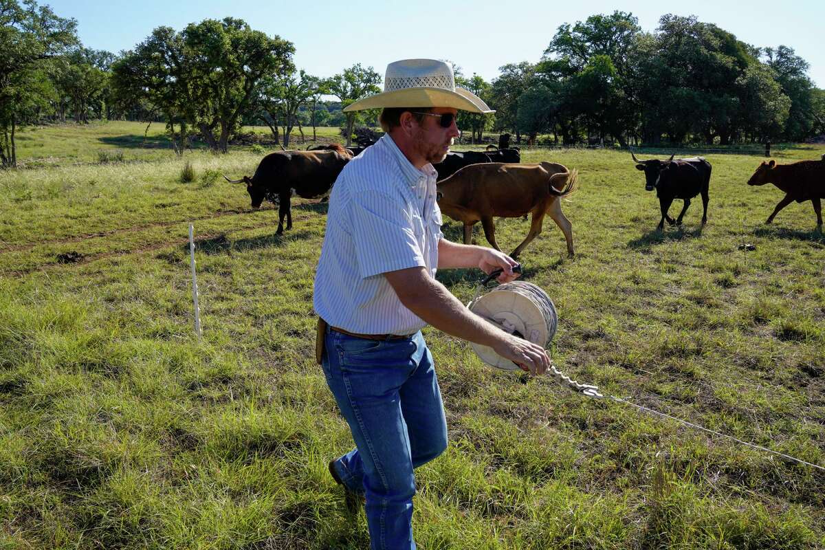 Jeremiah Eubank moves cattle from one pasture to another during a ranch tour to highlight regenerative agriculture methods as part of an ongoing process to prevent overuse of the fields and to maximize water conservation.