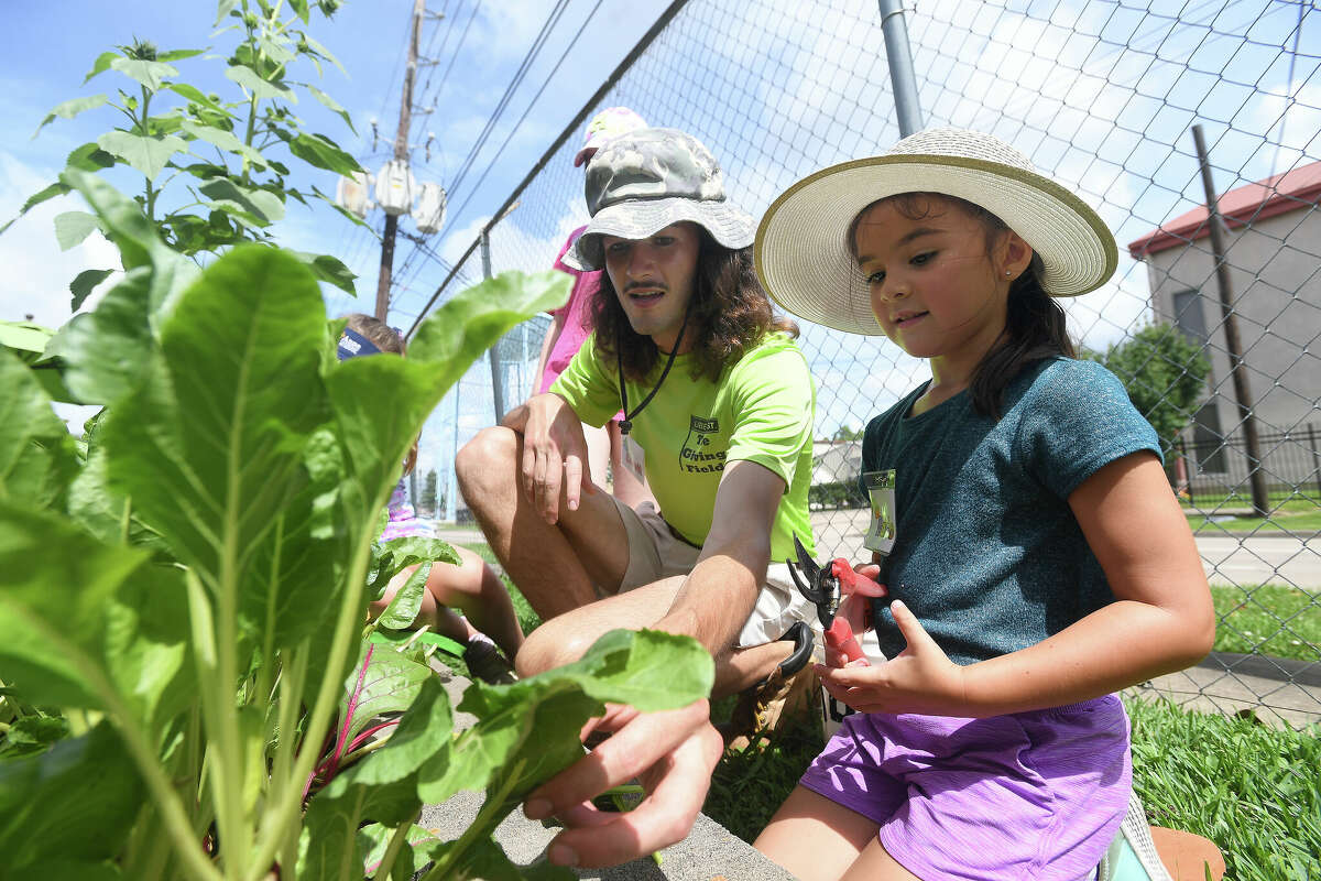 Everett Green shows Marie Broussard how to harvest Swiss chard during the week-long summer camp for kids at The Giving Field. Photo made Wednesday, June 1, 2022. Kim Brent/The Enterprise