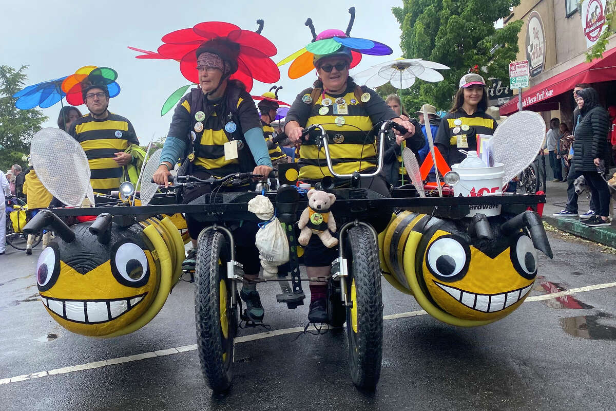 Plan Bee cruises around Arcata Plaza during the 2022 Kinetic Grand Championship.