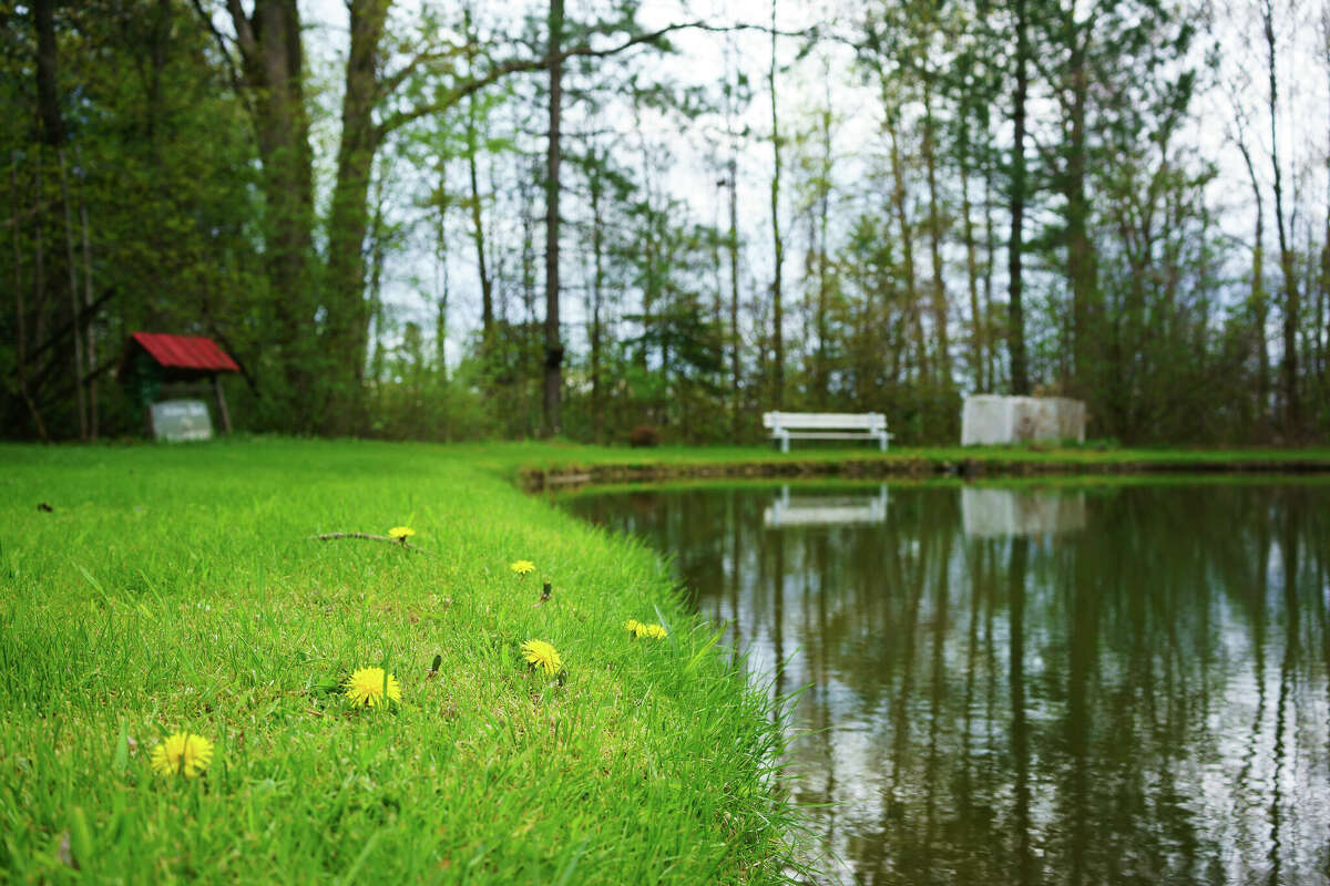 Spring is a good time to get ahead of growing vegetation or algae before it becomes a nuisance.