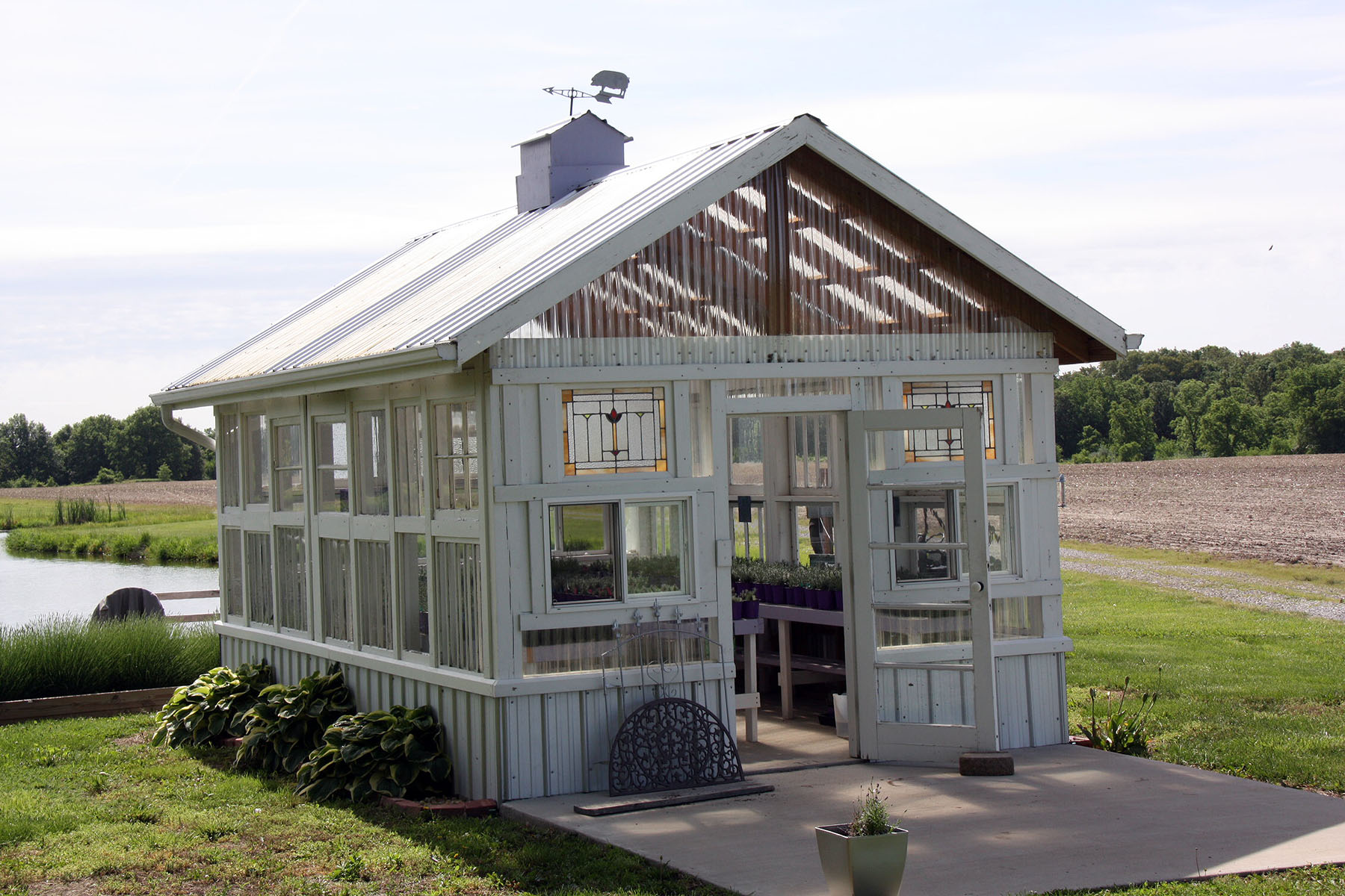Tenderloin Farm Lavender opens for its second season
