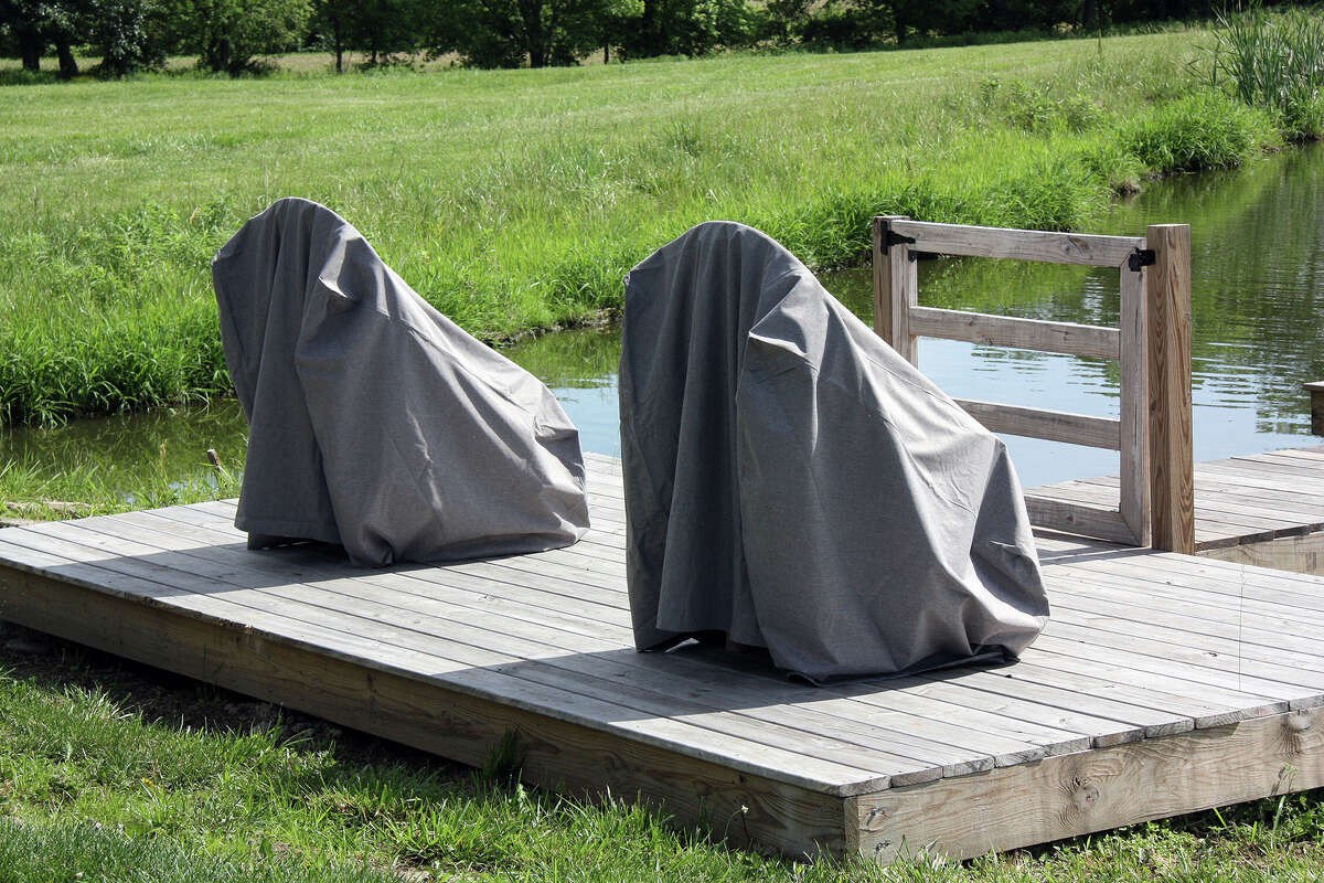 Tenderloin Farm Lavender opens for its second season