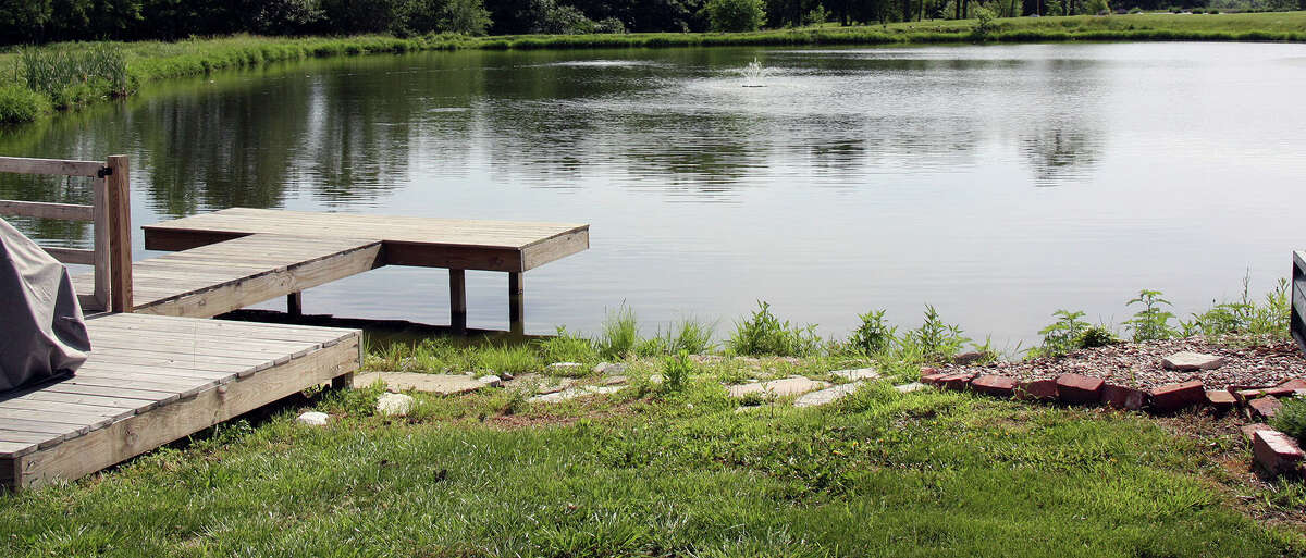 Tenderloin Farm Lavender opens for its second season